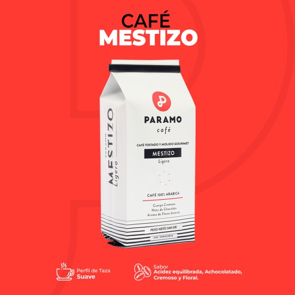 Mestizo